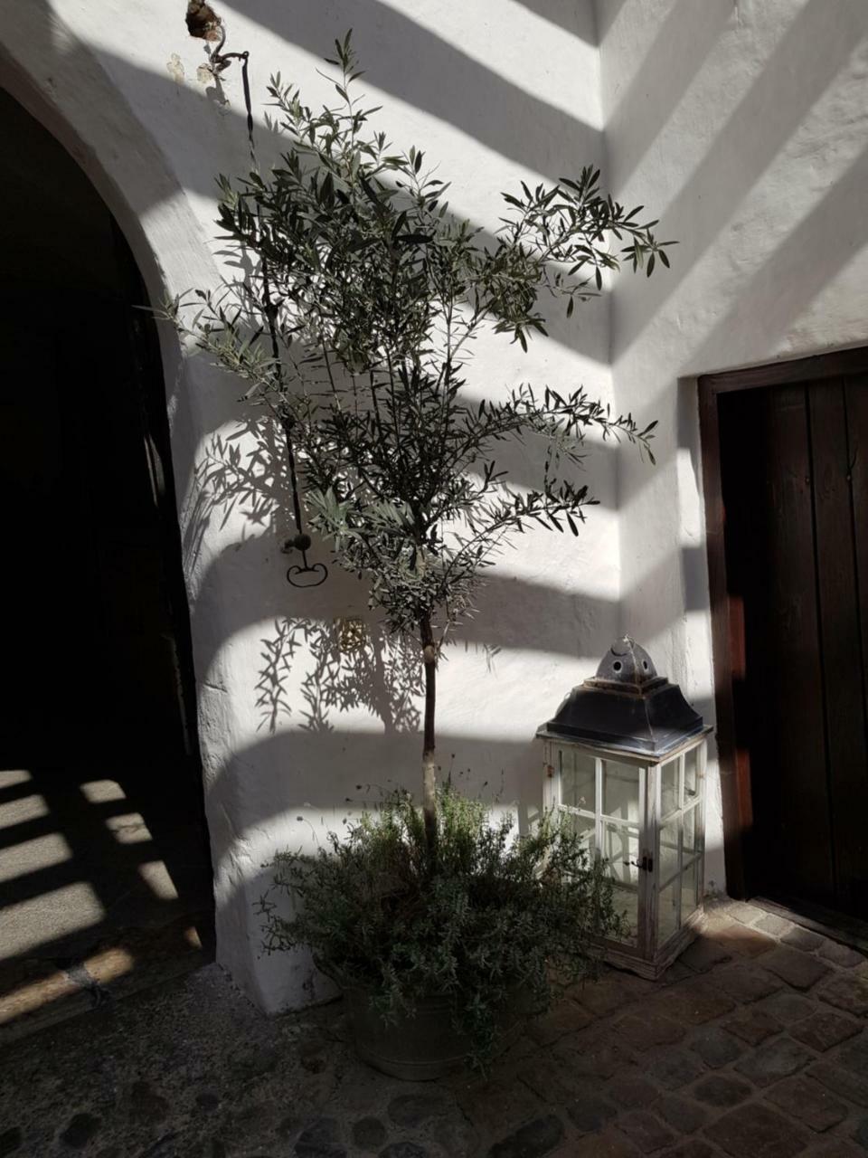 Hotel Schloss Amerang Extérieur photo